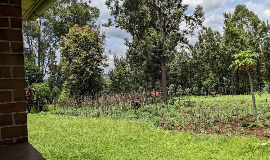 CRSN Lwiro Botanical Garden, DR Congo